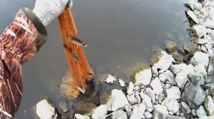 Кастинговая сеть в деле, первые забросы.
 Самая дешевая кастинговая сеть.