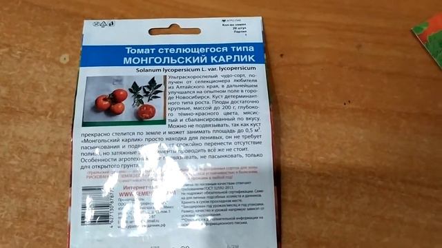 Краткий обзор сорта помидор 🍅🍅 Монгольский карлик смотреть онлайн