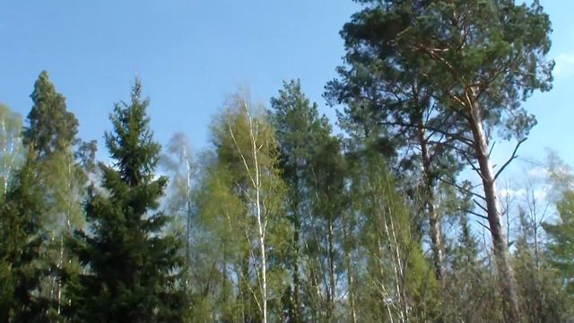 Заливы Горе -моря .Май 2013. смотреть онлайн