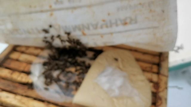 Расплод в феврале и зелёные дятлы смотреть онлайн