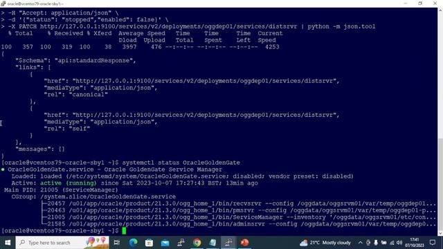 How to stop and start oracle GoldenGate service using curl (rest api) смотреть онлайн