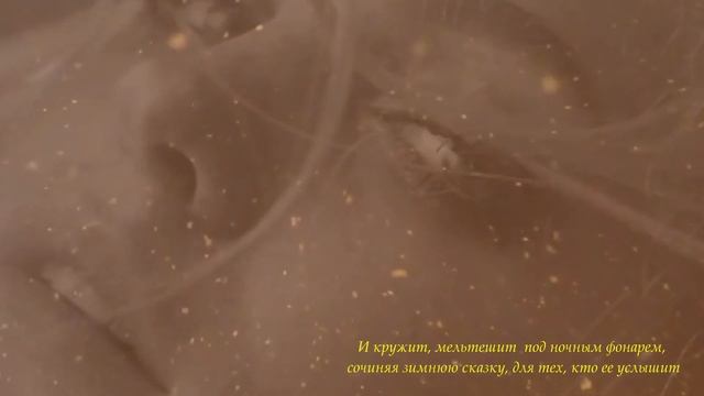 Между августом и декабрем  #SkyWord   #VadimKuprijanov