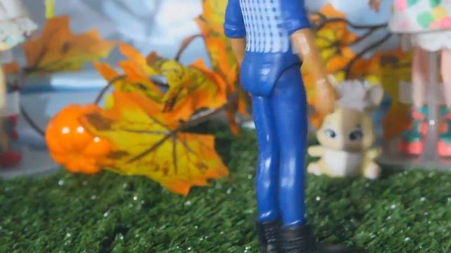 Обзор на Enchantimals Hixby Hedgehog And Pointer