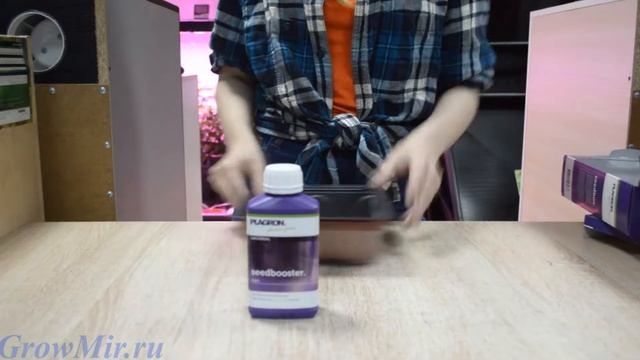 Plagron Seedbox Проращиватель семян, который поможет прорастить семя без труда! смотреть онлайн