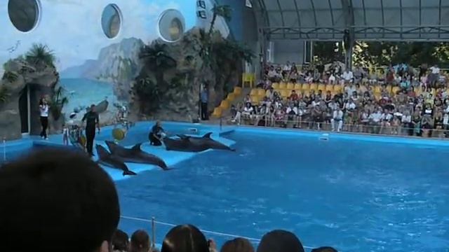 дельфинарий немо киев смотреть онлайн