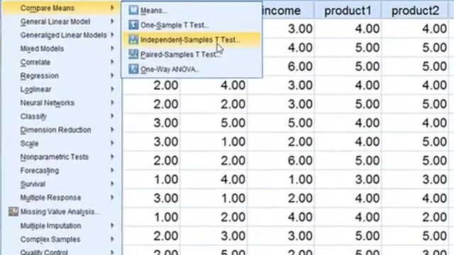 การประมวลผลข้อมูลด้วยโปรแกรม IBM SPSS : สถิติเชิงพรรณนา และ t-test, F-test, Chi-square смотреть онлайн