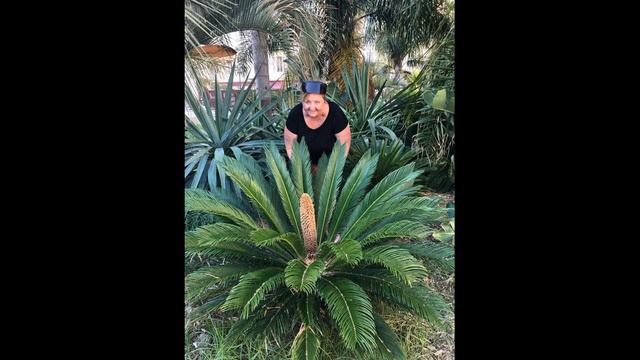 Канал возвращен смотреть онлайн