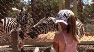 Ярослава и Кукла Штеффи отправляются в Зоопарк Анталии. Кормим Животных - Видео для детей Часть 1