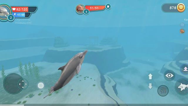 ОБНОВЛЕНИЕ!? обновление в WILD CRAFT??? ОКЕАН | ДЕЛЬФИНЫ | обновление обзор|• смотреть онлайн
