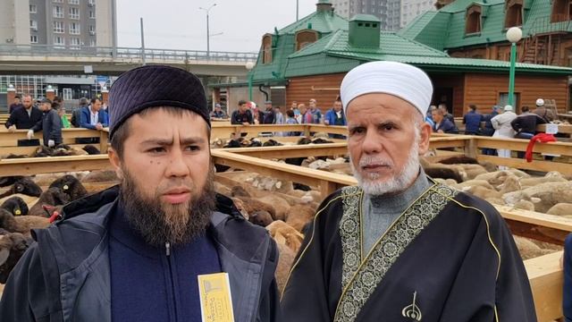 Обращение Шейха Исмагила Былбыл к мусульманам Татарстана смотреть онлайн