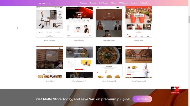 Molte - Store Fashion and Food WooCommerce Theme Jake Knox смотреть онлайн