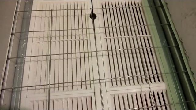 Простейший инкубатор своими руками смотреть онлайн