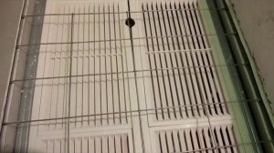 Простейший инкубатор своими руками