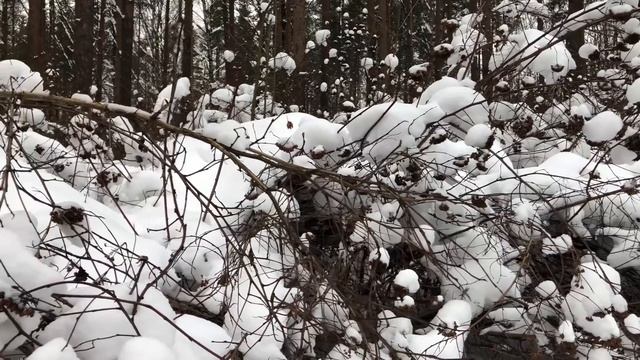 Жена уехала на отдых с подругой, но муж это так не оставил. Интересные истории измен, аудио рассказ смотреть онлайн