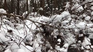 Жена уехала на отдых с подругой, но муж это так не оставил. Интересные истории измен, аудио рассказ