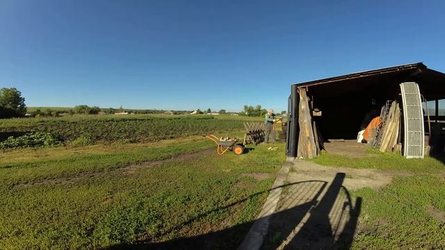 Дела домашие Дрова смотреть онлайн