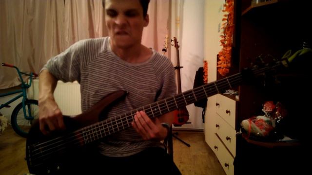 The Dignity Complex - For Those Who Dared // Bass Playthrough // Ibanez SR505 смотреть онлайн