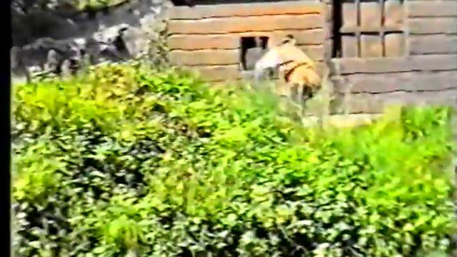 Karl May Spiele Elspe 1996, Der Schatz im Silbersee, Teil1 смотреть онлайн