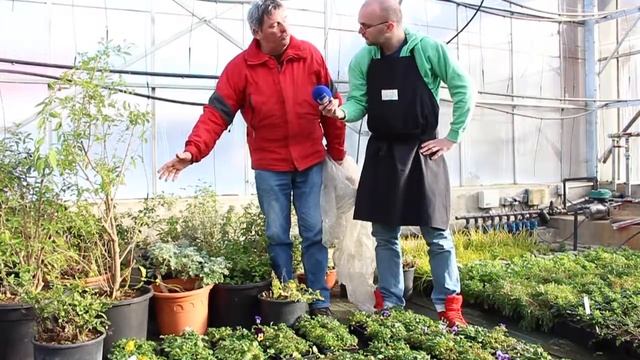 France Bleu Belfort Montbéliard - Experts Jardin - L'hivernage смотреть онлайн