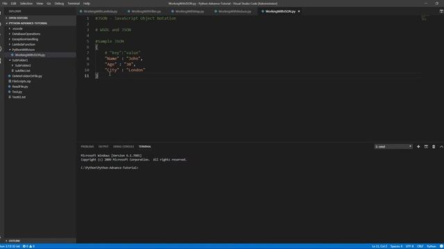 #20 Python JSON Introduction смотреть онлайн