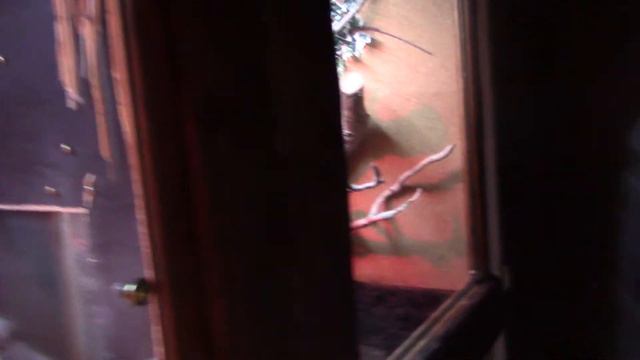 Архив: охота на мышек - не для слабонервных)) смотреть онлайн