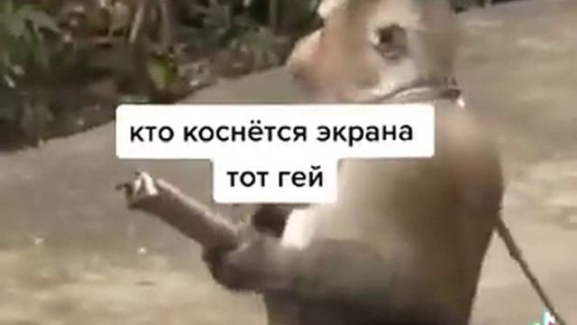 мама: почему не отвечал на звонки смотреть онлайн