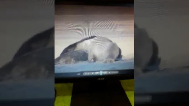 UNBOXING Monitor ACER V206HQL смотреть онлайн