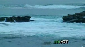 Караоке - Журавли.