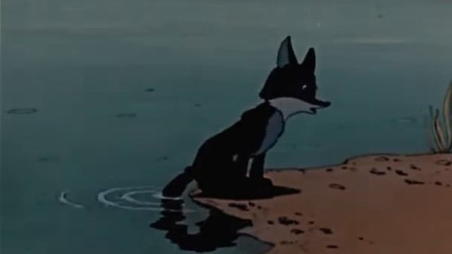 1956 год Шакаленок и верблюд смотреть онлайн