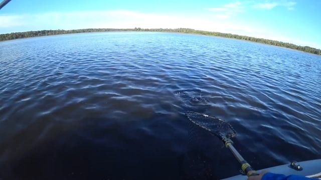 Цель - Мешок рыбы для мамы! смотреть онлайн
