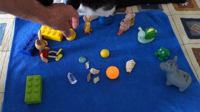 Сказка . Как заменить детский сад ? смотреть онлайн