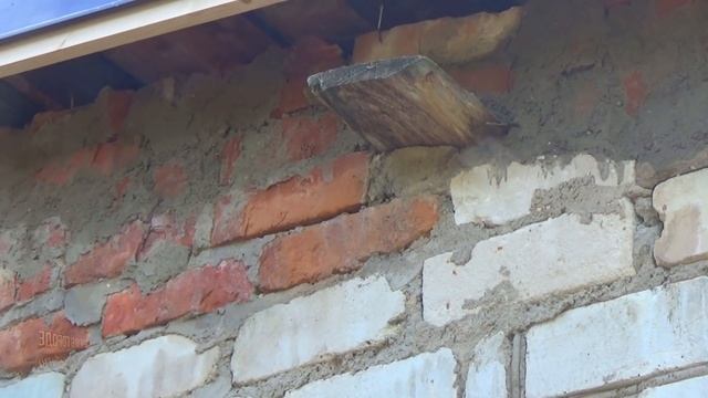 Лучший сорт моркови в огороде. Ремонт Пристроя Завершён. Ягода Калина И Рябина. 98 серия смотреть онлайн