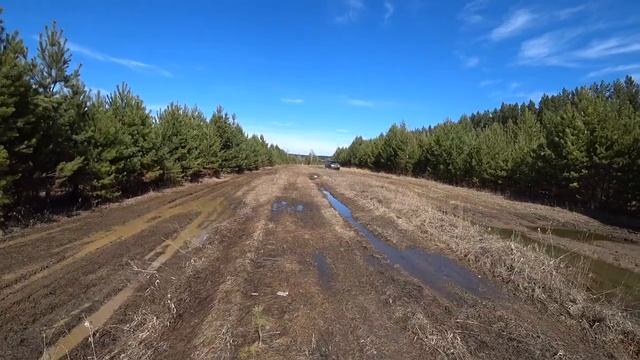 Гряземес 2021