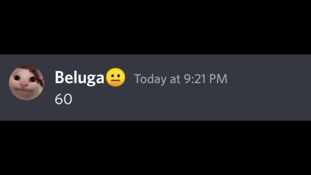 When SIRI Makes BELUGA Rich #beluga #hecker #discord смотреть онлайн