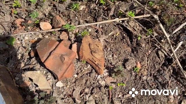 Тайна старой часовни. Заветное смотреть онлайн