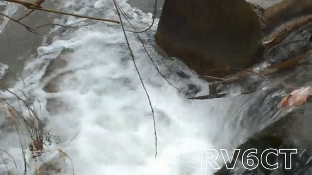 Берегите природу - мать вашу! №4 смотреть онлайн