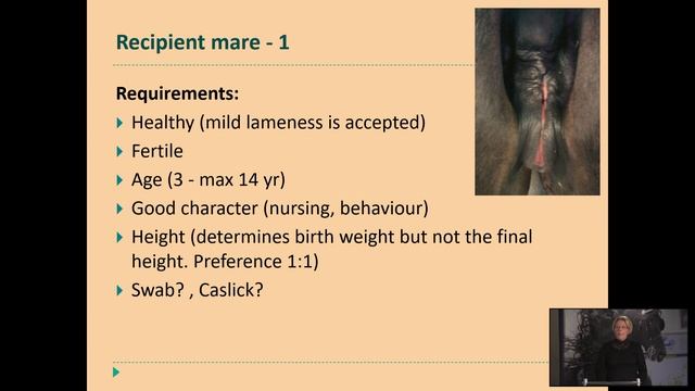 KFPS College Tour VIII: The "what abouts" of equine embryo transfer смотреть онлайн