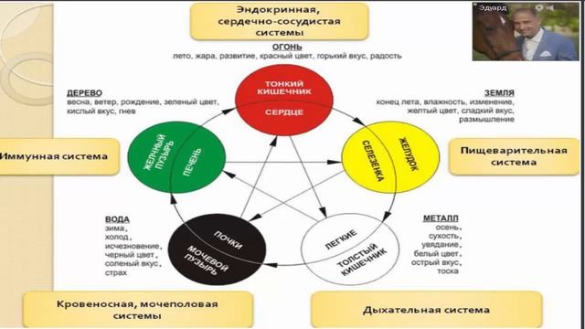 18.02.15 Школа здоровья, 5 занятие на тему: "Интеллектуальное здоровье" смотреть онлайн