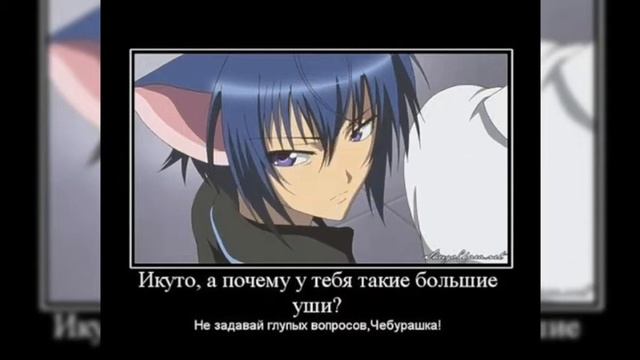 аниме клип " мой 21 век" аниме : чара хранителей смотреть онлайн