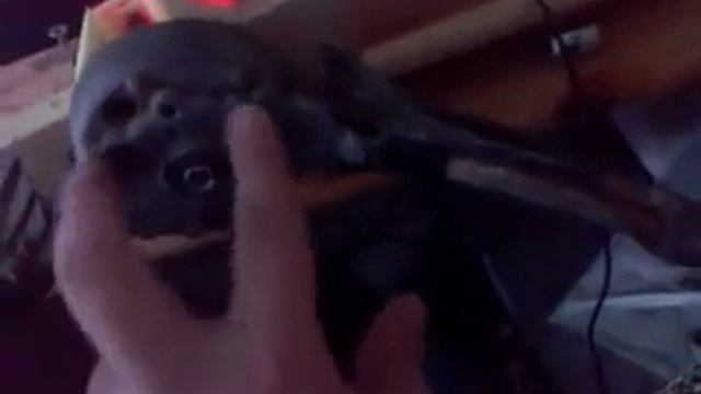 Самодельный джойстик для пк смотреть онлайн