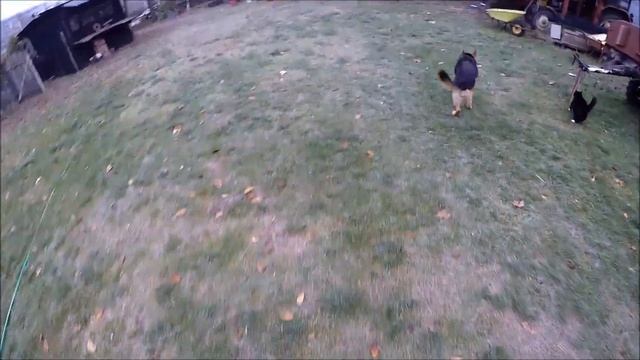 Kładka Na Stawie Zamarzła, Będzie Zimować W Lodzie...