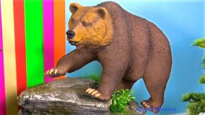 Wild Zoo Animals - Tiger, Grizzly Bear, Chimpanzee, Honey Badger 13+
