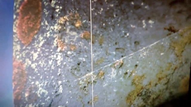 Букашки 4.,,Надоедливая божья коровка" смотреть онлайн