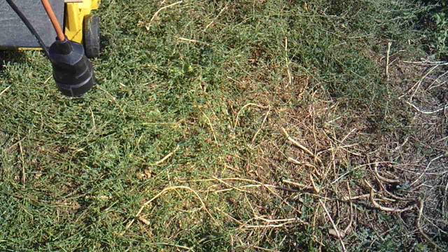 Работа сорнякокосилкой HÜTER