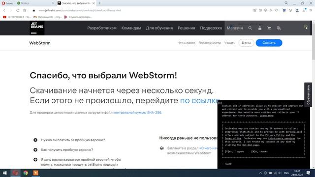 Простой способ установки React на компьютер через WebStorm (Коррекция ошибки при установке Node.js) смотреть онлайн