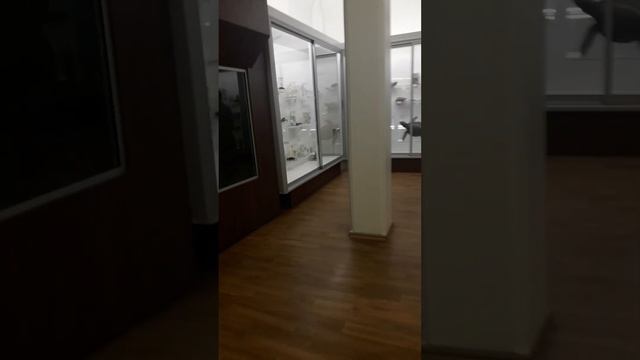 Литва Каунас музей ???? смотреть онлайн