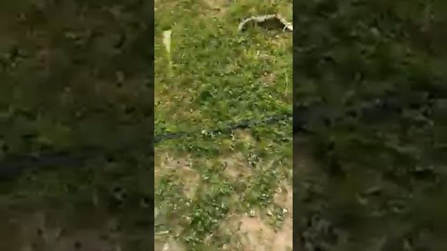 привет от выпускницы Лоры из Москвы💥🤗🤗🤗❤❤❤ смотреть онлайн