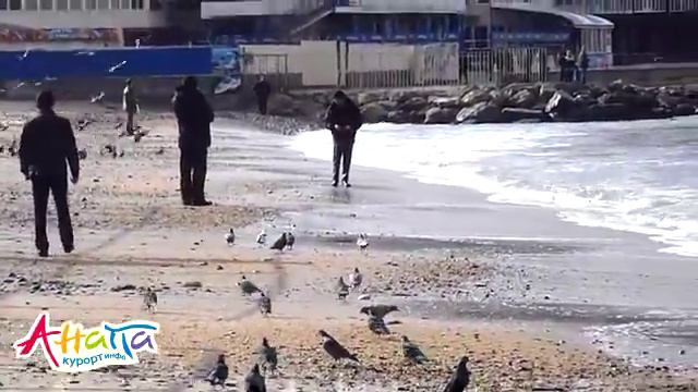 Центральный пляж в Анапе 24 января 2012 смотреть онлайн