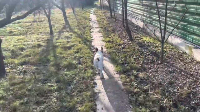 Сказочная реальность !!! смотреть онлайн