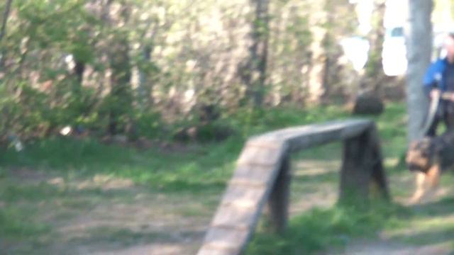 Прохождение по полосе припятствий (Дан) смотреть онлайн